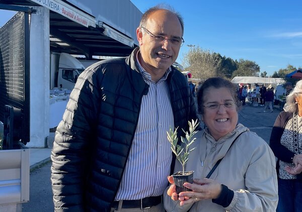 distribuicao_de_oliveiras