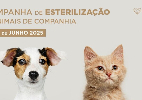 esterilizacao_2025_02__1_