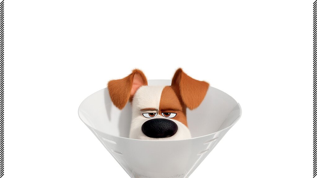 A Vida Secreta dos Nossos Bichos 2