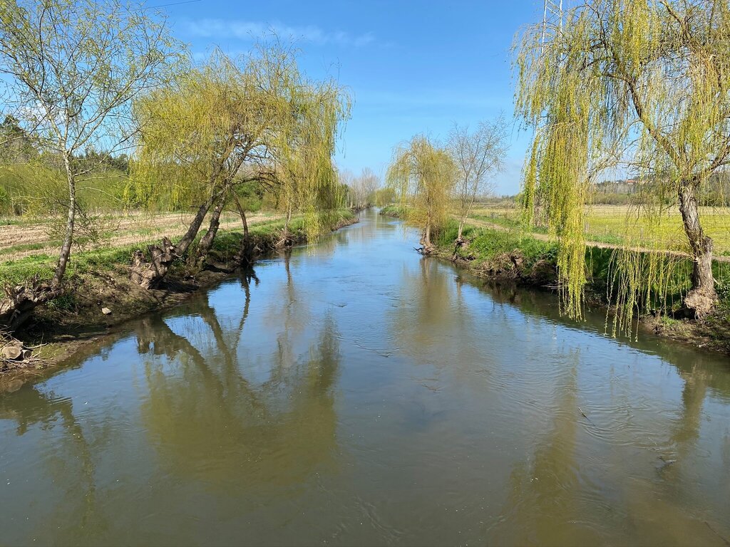 Limpeza de Linhas de Água | Proprietários e Arrendatários