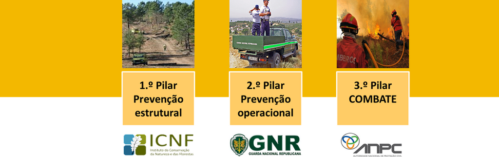 Sistema Nacional de Defesa da Floresta contra Inc&ecirc;ndios