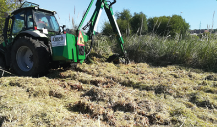 desmata&ccedil;&atilde;o