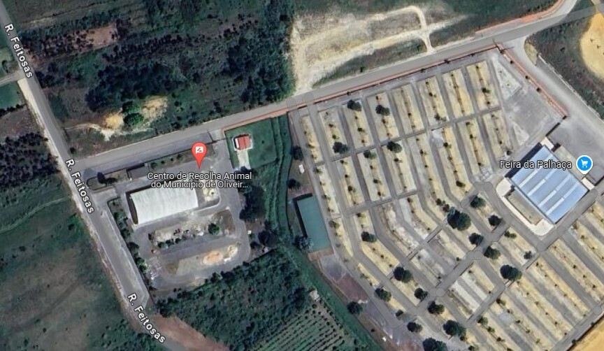 Centro de Recolha Animal
