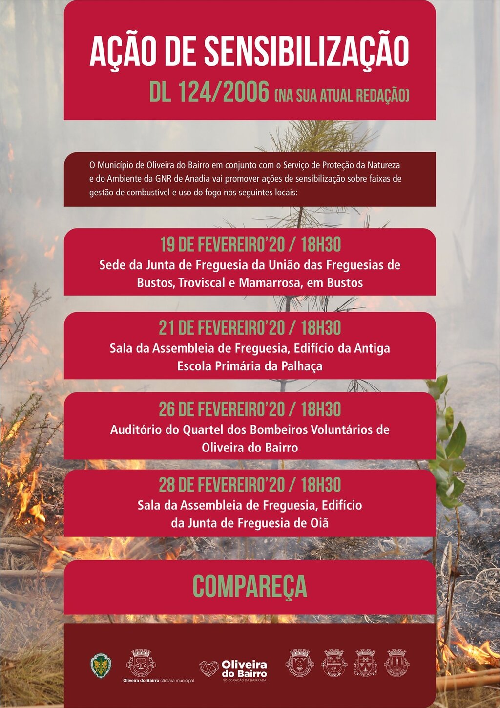 IMAGEM_WEB_SITE_RGB_Prancheta 1