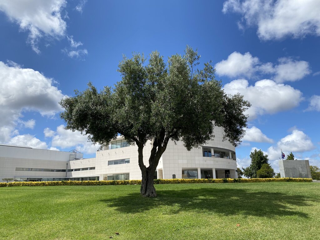 Juntas de Freguesia | Câmara atribui 70 mil euros para investimento e concretização de atividades...