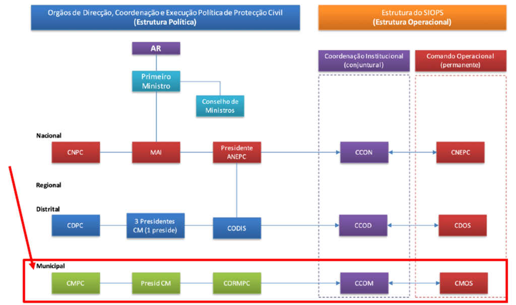 Organiza&ccedil;&atilde;o