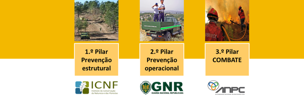 Sistema Nacional de Defesa da Floresta contra Inc&ecirc;ndios