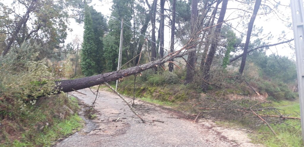 Acesso ao Parque da Seara - Rua dos Loureiros